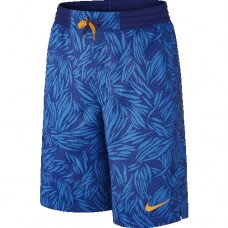 Шорты подростковые Nike 728318-455 Allover Print